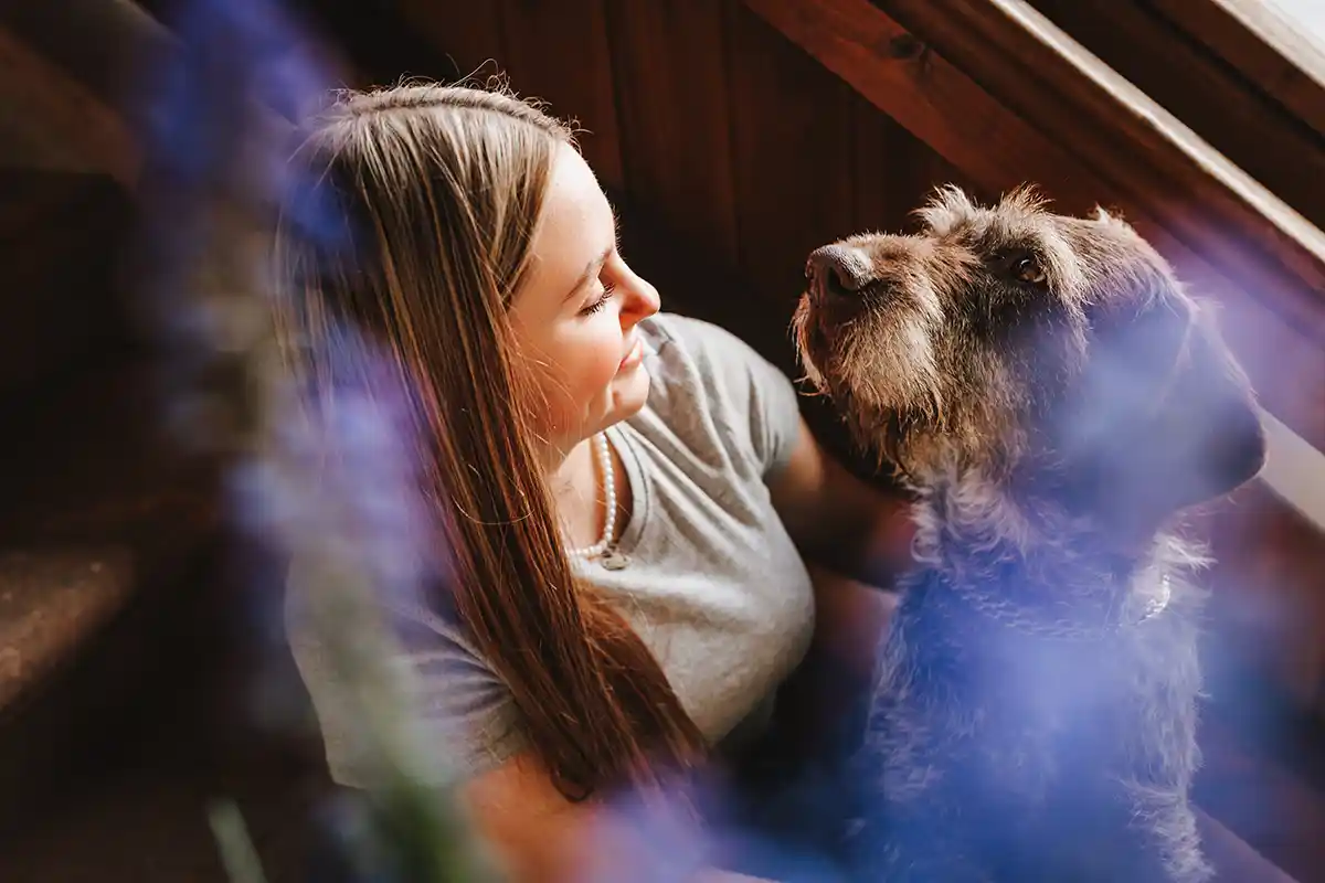 Fotograf Chemnitz Leipzig Dresden Hundeshooting Pfotenliebe